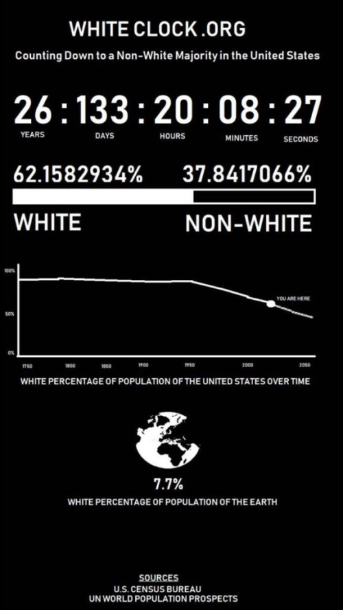 White Genocide Clock